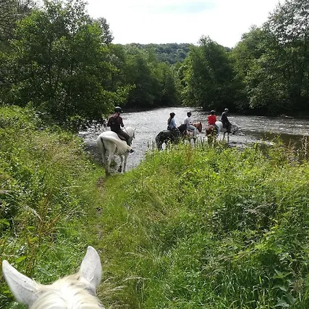 Je Suis 84 Sunclass בקתה