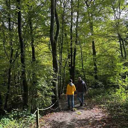 木屋 Je Suis 84 Sunclass 杜柏